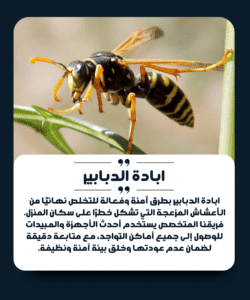 الشركة الألمانية لمكافحة الدبابير