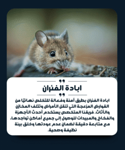 الشركة الألمانية لمكافحة الفئران