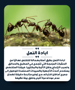 الشركة الألمانية لمكافحة النمل