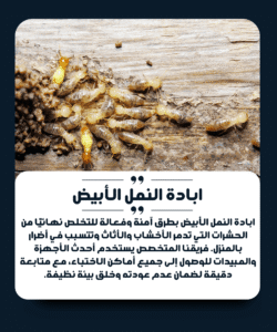 الشركة الألمانية لمكافحة النمل الأبيض